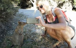 Quokkas - The Happiest Animals